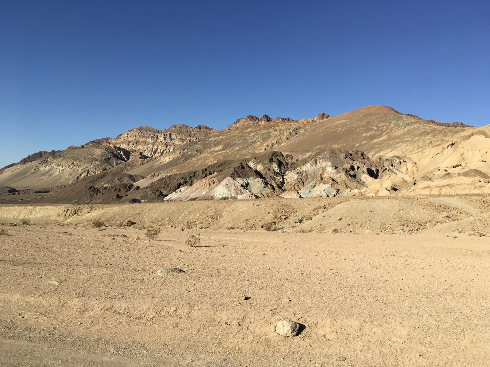 Rattlesnakes and Tarantulas in Death Valley kennaontheroad
