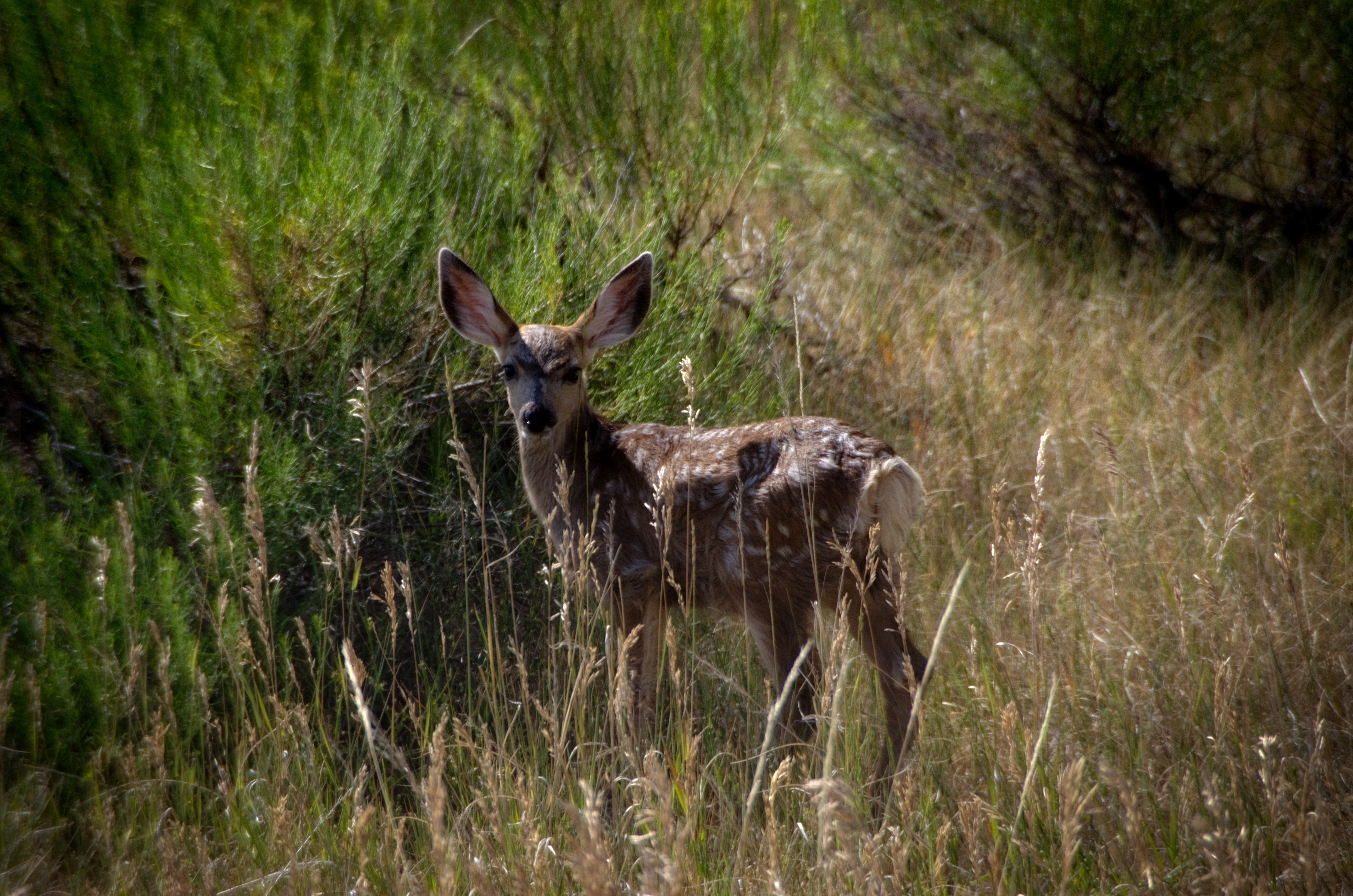 D7K_2109_HDR2